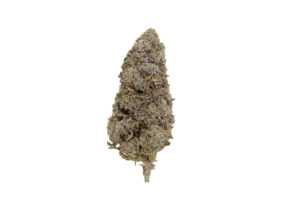 Bangkok Sativa Flower — 23% THCA