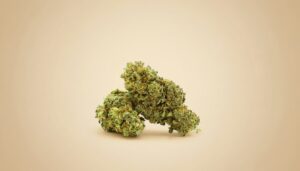 Double Cinnamon Flower — 15,2% CBD