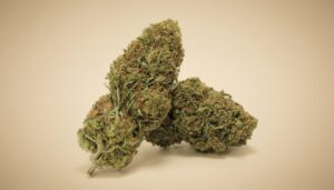 F21 Fruit Cake Flower — 15,9% CBD