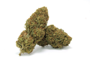 F21 Fruit Cake Flower — 15,9% CBD