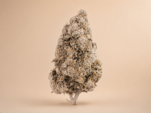 Zkittles Indoor 24 Flower  — THCA 24%